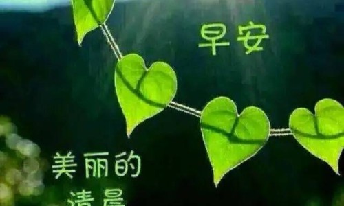 身上出带尖的疙瘩-身上出带尖的疙瘩-专业身上长个尖尖的东西是什么平台-身上起带尖的小疙瘩是怎么回事